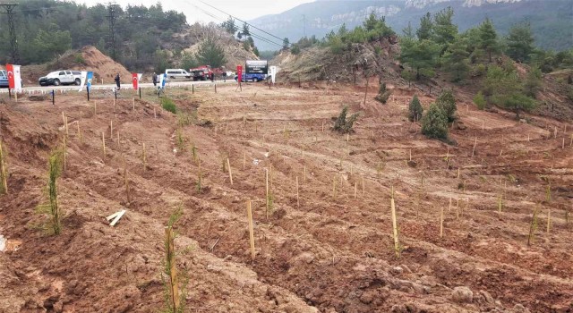 Depremlerde hayatını kaybedenler anısına bin 100 fidan toprakla buluşturuldu