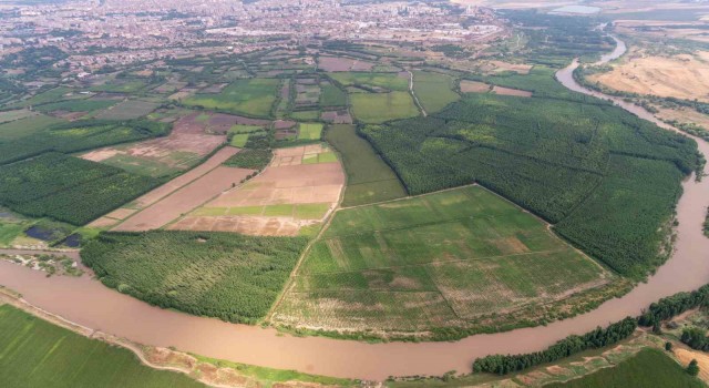 Diyarbakırda çiftçinin yüzü son yağışlarla güldü