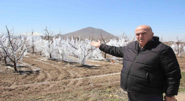 Dona karşı sulanan elma ağaçları buzulları aratmadı