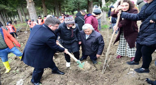 Down Sendromlu bireyler BAÜNde fidan diktiler