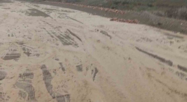 Elazığda şiddetli yağışlar sonrası dereler coştu