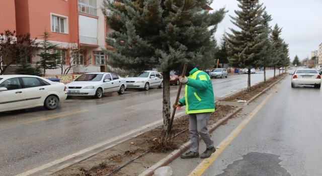 Ereğlide bahar hazırlıkları devam ediyor