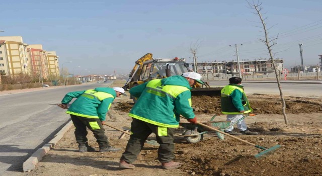 Ereğlide park ve bahçelere gül dikimi