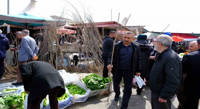 Erzincanda meyve fidanı satışı başladı