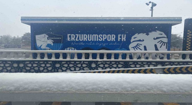 Erzurumda kar yağışı çevreyi beyaza bürüdü