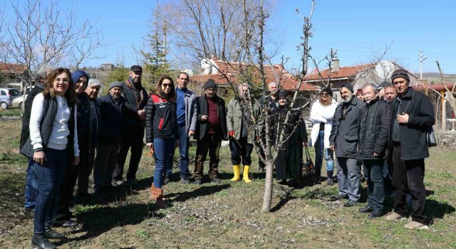 Eskişehir çiftçisine meyve ağaçlarında aşılama kursu