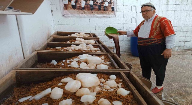 Güneydoğunun doğal kolasında Ramazan mesaisi başladı