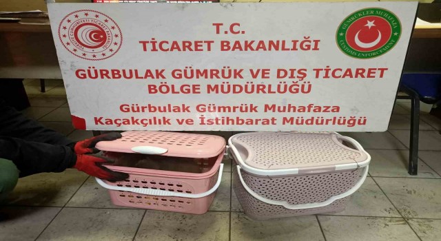 Gürbulak Gümrük Kapısında 11 adet yavru maymun ele geçirildi