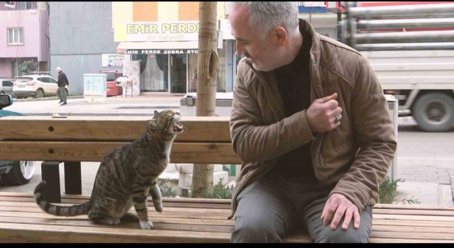 Gürsunun ‘Tatlı Serserisi vatandaşın maskotu oldu