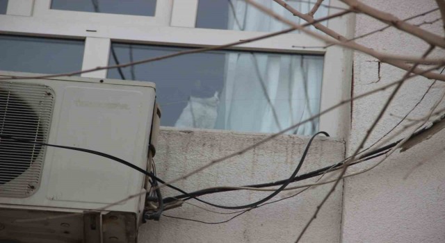 Hasarlı binada mahsur kalan kedi itfaiyeyi harekete geçirdi