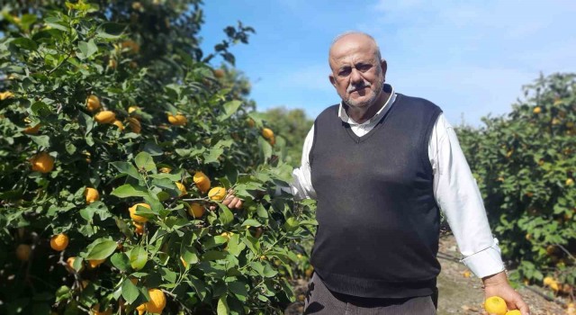 Hatayda depolar yıkılıp dağıtım zinciri bozulunca, çiftçilerin mahsulleri ellerinde kaldı
