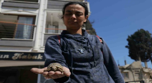 Hatayda depremzede, ağır hasarlı evine girdiğinde gözlerine inanamadı