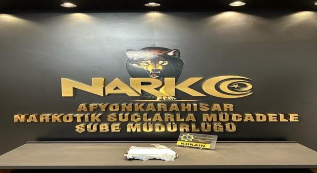 Hava yastığı kapağının altına saklanan kokaini Coo buldu