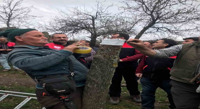 Havranda aşılama eğitimi yapıldı
