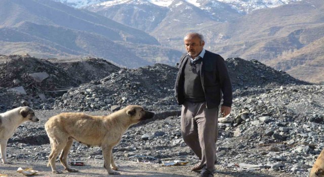 Hayırsever vatandaş sokak köpekleri için 30 kilometre yol kat ediyor