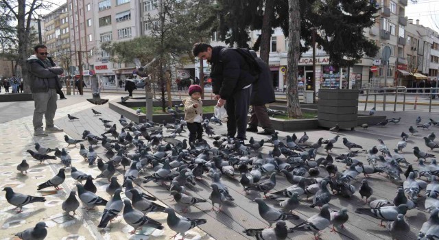 Hayvan sevgisi bu yaşta böyle başlıyor