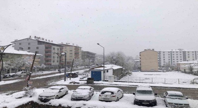 Hizanda kar yağışı