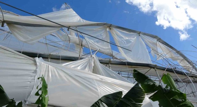 Antalya’da Hortum muz serasını vurdu