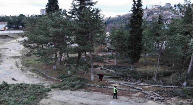 İl Özel İdaresinden Kesilen ağaçların yerine yenileri dikilecek açıklaması