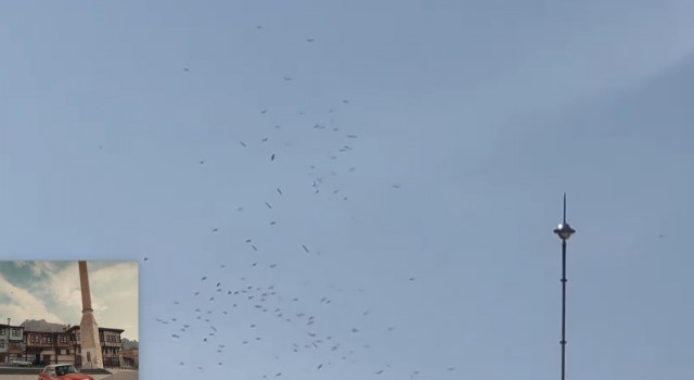 İstanbul semalarında göç eden Leylek sürüsü görüldü