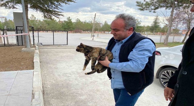 İtfaiye ekiplerinin kurtardığı “Enkaz” yeni yuvasına kavuştu