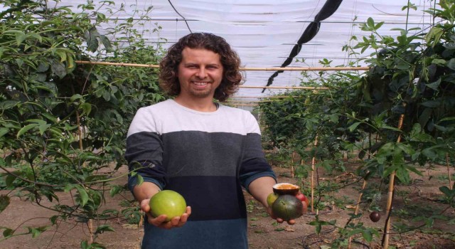 İthal meyveyi İzmirde üretti, rotayı Avrupaya çevirdi