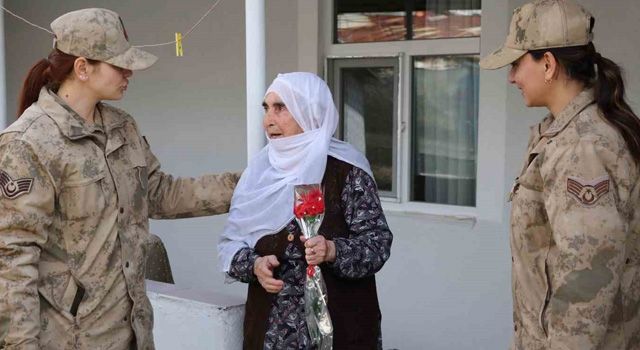 Jandarma asırlık çınarları unutmadı
