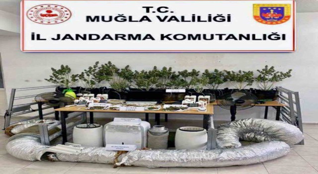 Jandarmadan Dalamanda uyuşturucu operasyonu