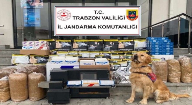 Jandarmadan kaçak sigara imalathanesine baskın