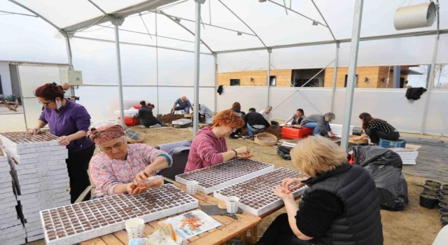 Kadınların ektiği tohumlar, deprem bölgesinde filizlenecek