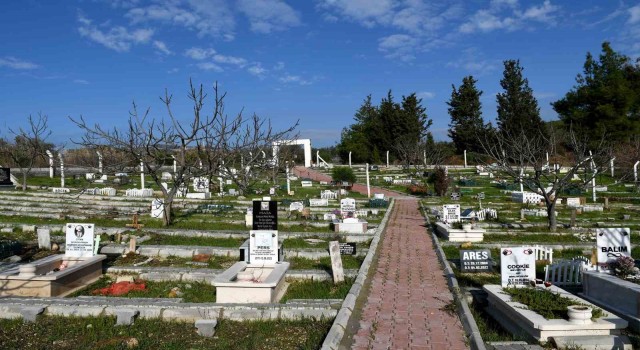 Kahraman köpek Proteonun ismi Kuşadasında yaşayacak