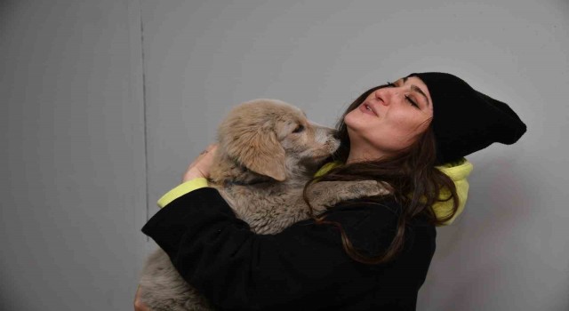 Kahramanmaraşta enkaz altından kurtarılan köpek Trabzonda sahiplendirildi