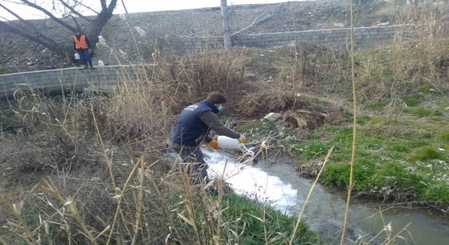 Kahtada larva üreme noktalarını ilaçlanıyor