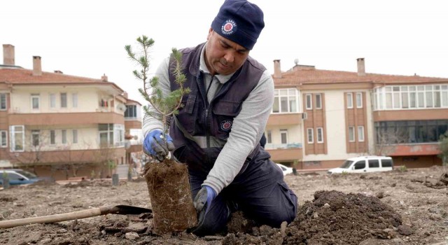 Kareside hedef kişi başı 25 metrekare yeşil alan