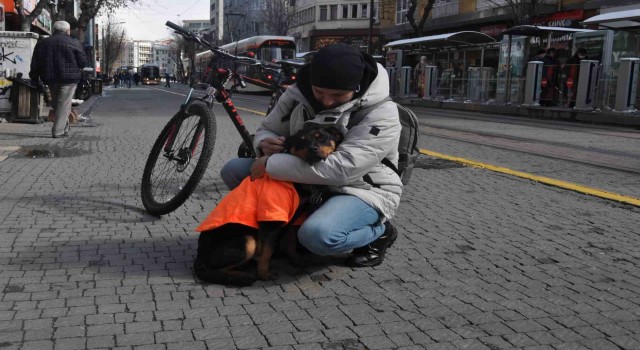 Kayıp köpeğe duyarlı vatandaş sahip çıktı