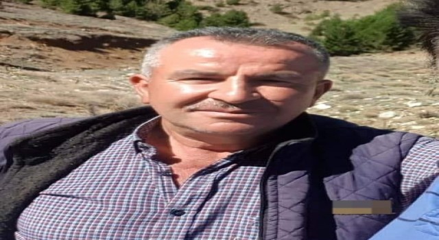 Kestiği ağacın altında can verdi