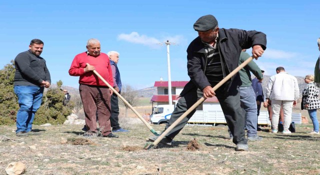 Korkutelide antepfıstığı yetiştiriciliği yapılacak