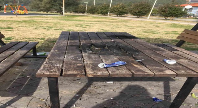 Köyceğizde parkta bulunan kimliği belirsiz kişiler tarafından yakıldı