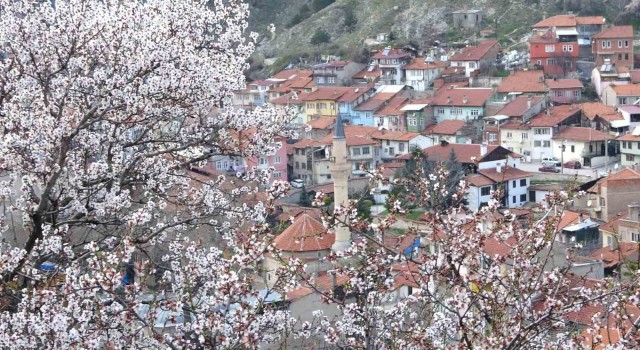 Kütahyada badem ağaçlarının çiçek açması güzel görüntüler oluşturdu