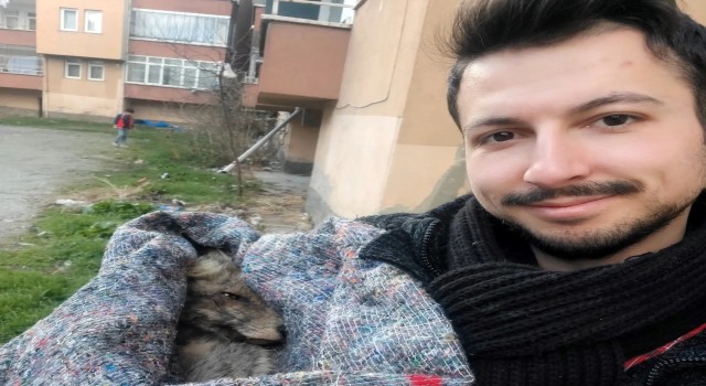 Kütahyalı hayvan sever ormanlık alanda bitkin halde bulduğu tilkiyi hayata döndürdü