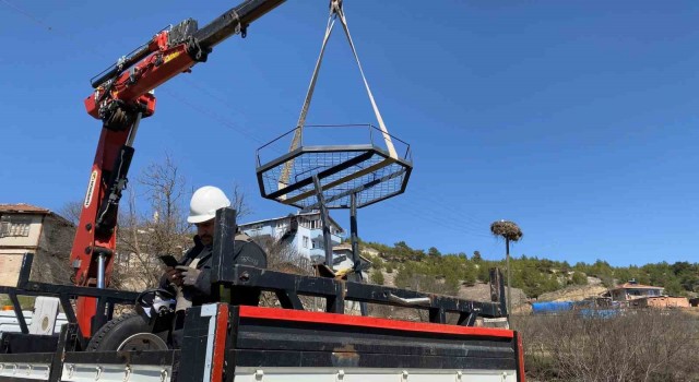 Leylek ölümlerini azaltmak için elektrik direklerine özel yuvalar taktılar