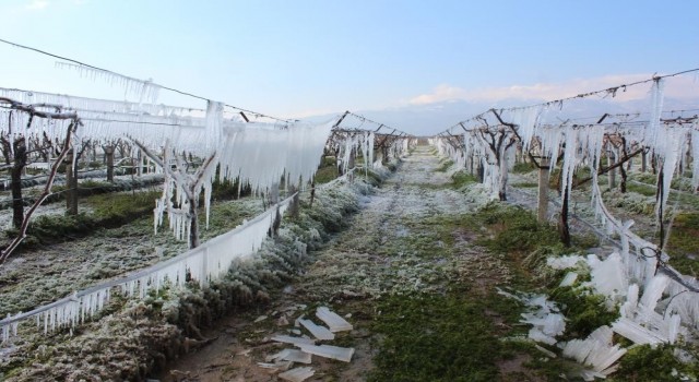 Manisaya kuvvetli yağış, fırtına ve don uyarısı