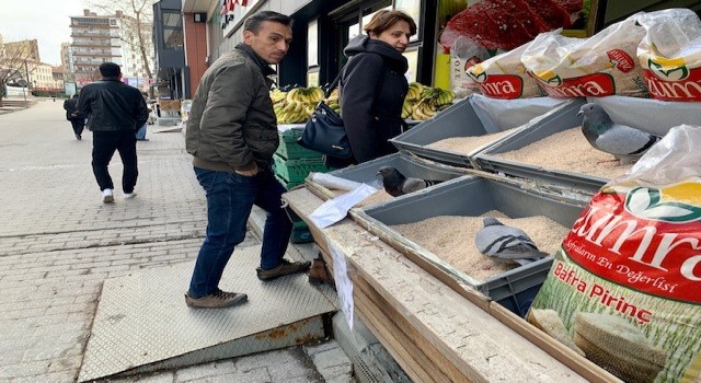 Market tezgâhını yağmalayan güvercinler