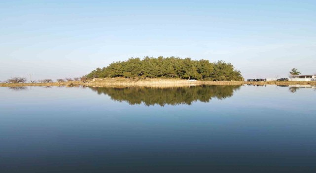 Marmara Gölü kurudu göçmen kuşlar rotayı Sülüklü Göle çevirdi