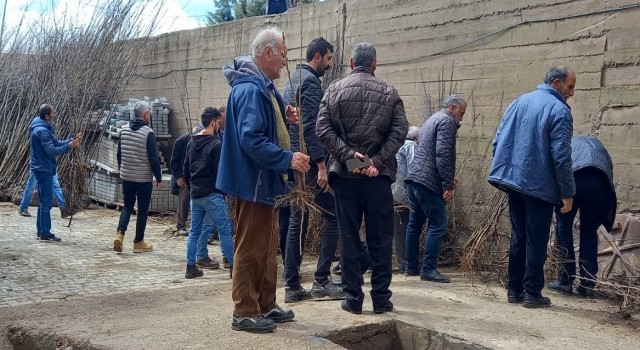 Memleketine her yıl binlerce fidan gönderiyor