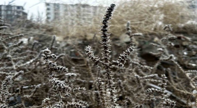 Meteorolojiden zirai don uyarısı