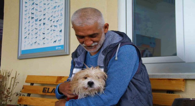 Muğlada çalınan köpek, çipi sayesinde Elazığda bulunarak sahibine teslim edildi