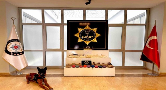 Muşta biberle kamufle etmek istedikleri uyuşturucu Thordan kaçmadı