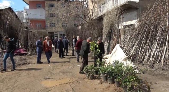 Muşta fidan satışları başladı