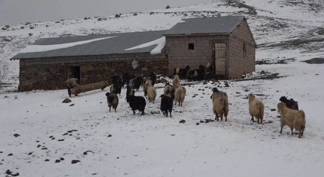 Muşta kar yağışı